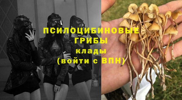 MESCALINE Каменка