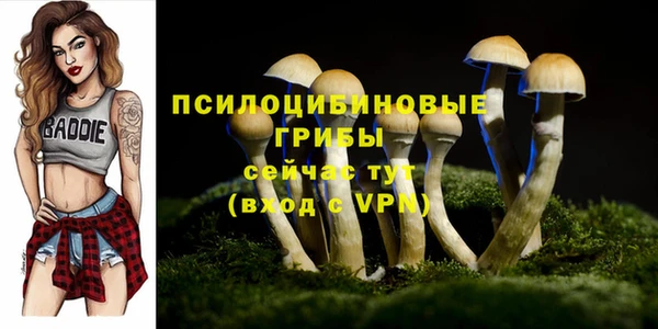 jwh Каменногорск