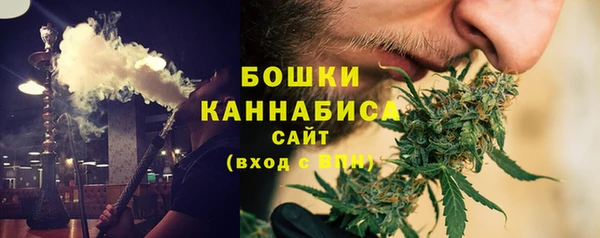 индика Касимов