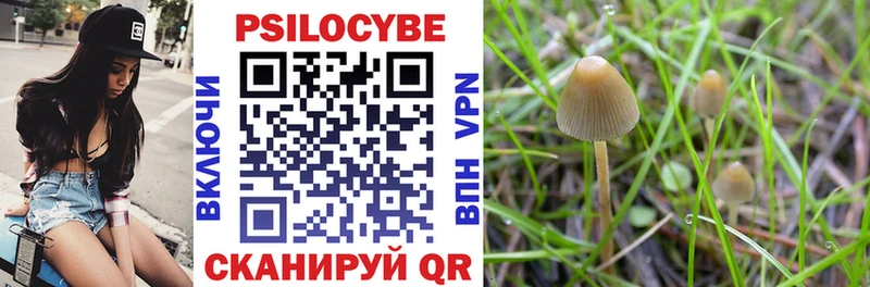Галлюциногенные грибы мухоморы  Купить  Баксан 